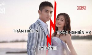 trần hiểu và trần nghiên hy ly hôn