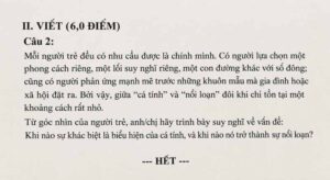 Bài mẫu nghị luận xã hội về cá tính và sự nổi loạn