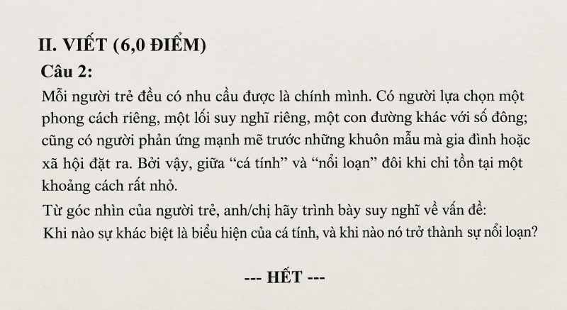 Bài mẫu nghị luận xã hội về cá tính và sự nổi loạn